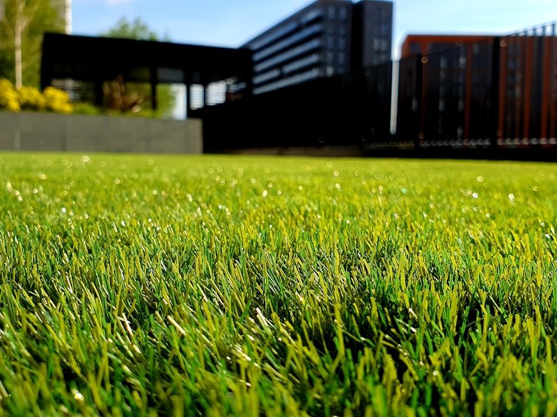 Vibrant green Ottawa lawn after a fresh weekly mow with sharp edge lines