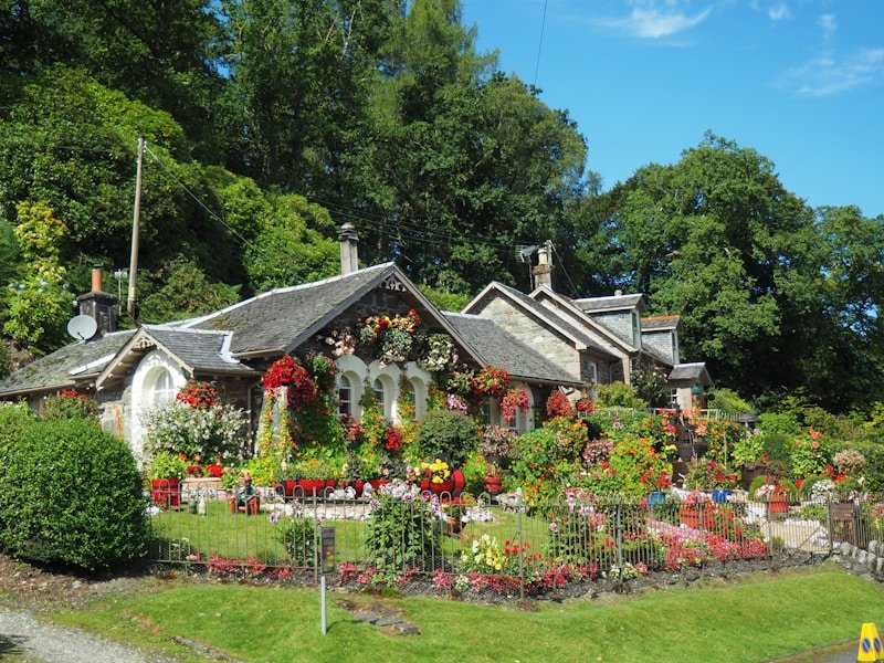 Charming home with vibrant flower garden and lush lawn — Ottawa property after a full landscape refresh